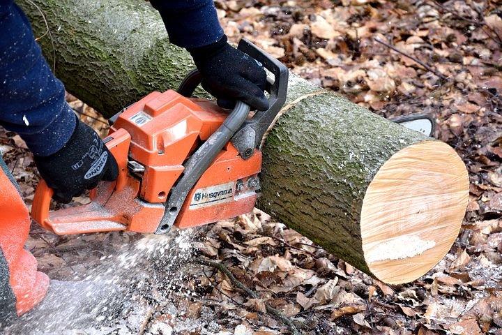 Cutting wood 2146507 480