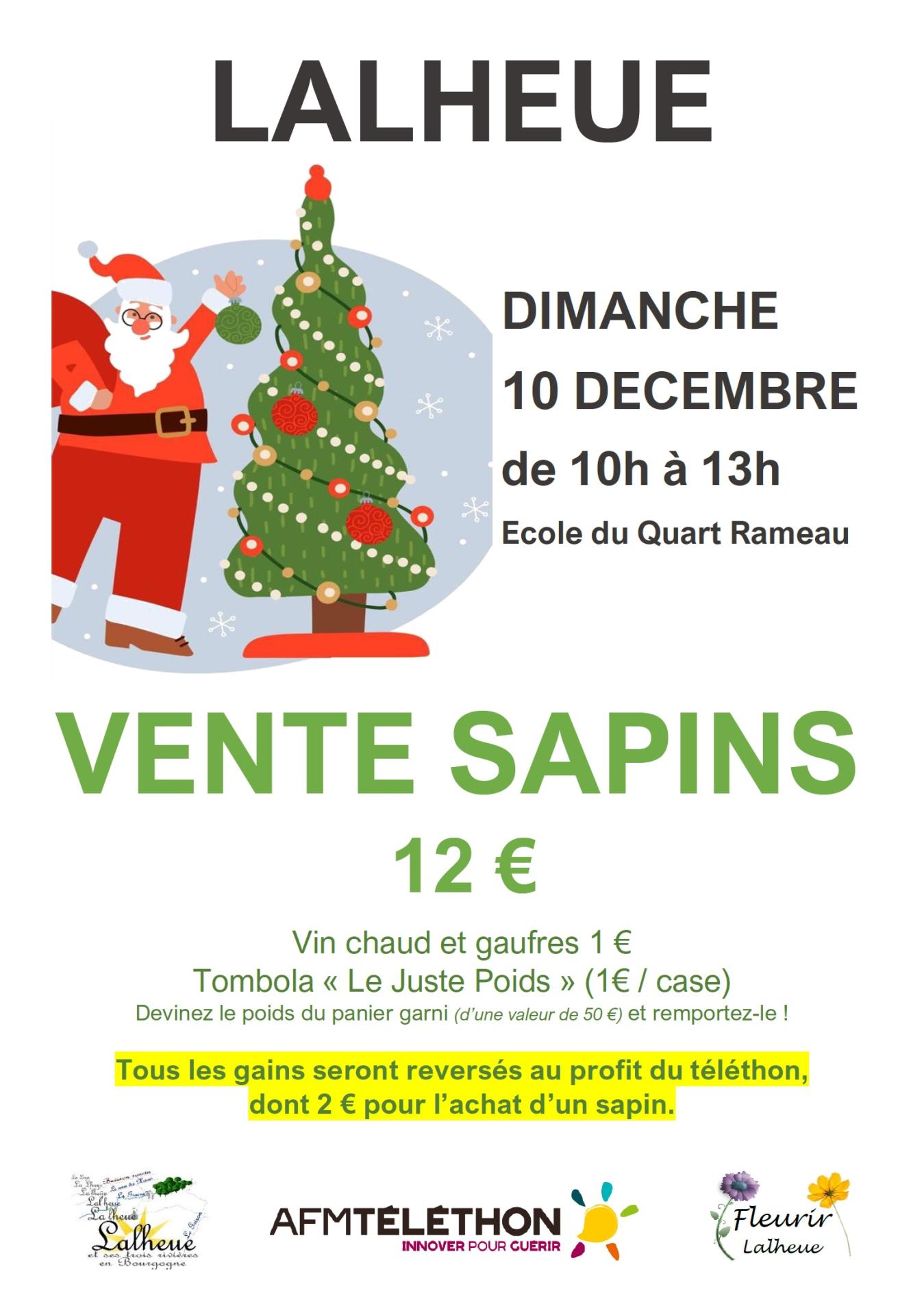 Visuel web affiche vente sapin